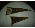 Flamula 2x Hotel Amazonas